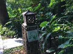-金山植物公园