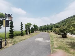 -东庐山观音寺