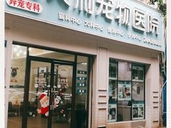 -贝利宠物医院·骨科·眼科·肿瘤转诊中心(南坪诊疗中心)