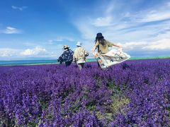 -青海湖国家重点风景名胜区