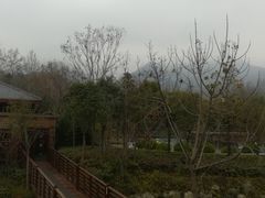 -楼观道温泉酒店