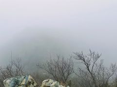 -北京鹫峰国家森林公园