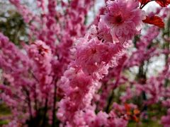 -河南省黄河迎宾馆