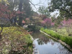 -上海滨江森林公园