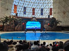 -皇家极地海洋世界-售票处