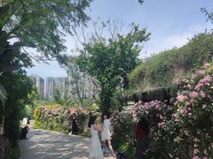 -三圣花乡旅游区