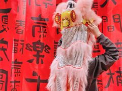 -禧宴Joyous Restaurant(禧园店)