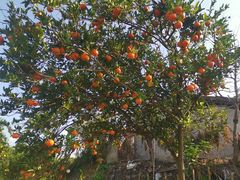 -金堂县云顶石城风景区