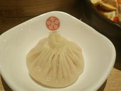 -老班长手工灌汤包(望京华彩店)