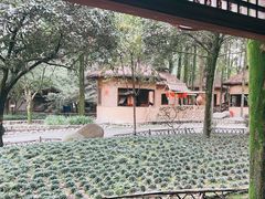 -土灶人家柴火鸡(都江堰店)