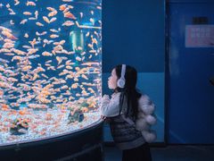 -海合安成都极地海洋公园