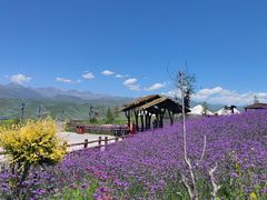 -新疆那拉提国家旅游度假区