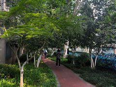 -北极阁公园