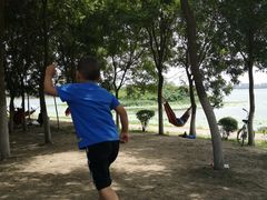 -丁香湖公园