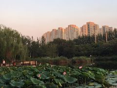 -前关湿地公园