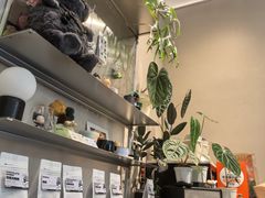 -Dogi&kiki Coffee(中心商务大厦店)