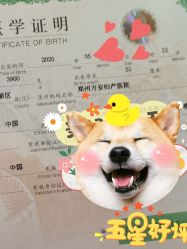 点击看大图 -郑州万安妇产医院