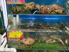 -蚝专家(北滘店)