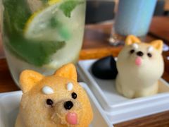 -柴犬高等学院·狗咖·柴犬售卖·宠物训练