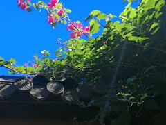 -贰醒·私房小院烧烤 (太古里店)