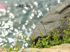 -兴旺渔家