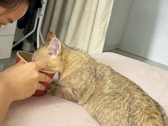 -宠福鑫康馨动物医院·骨科·眼科