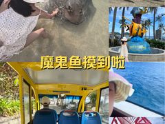 -海南分界洲岛旅游区