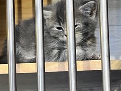 -牧歌商务公馆(南门店)