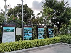 -大亚湾红树林城市湿地公园
