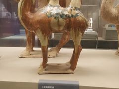 -西安大唐西市博物馆