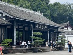 -陈麻婆豆腐(旗舰店)