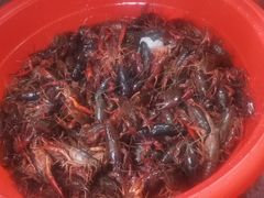 -江杨农产品批发市场