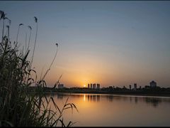 -长广溪湿地公园