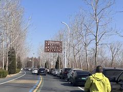 -盐城丹顶鹤湿地生态旅游区