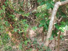 -燕晗山郊野公园