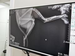 -达爱动物医院·犬猫分区·CT·复杂眼科(远洋山水分院)