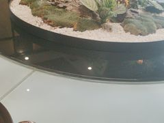 -丽华园(青少年宫店)