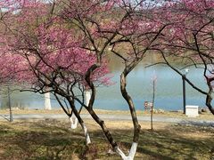 -浙江农林大学(东湖校区)