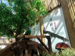 大堂-大理董·董家小厨野生菌火锅(古城旗舰店)