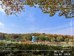 -宜兴龙背山森林公园