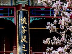-潭柘寺景区
