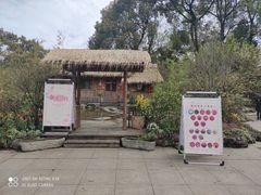 -南山植物园
