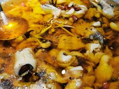 水煮江团鱼-雲蜀龙阁·金牌水煮鱼(方庄店)