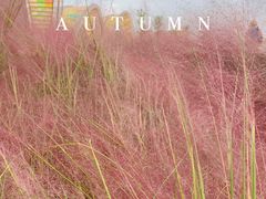 -中国天府农业博览园