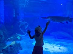 -烟台海昌鲸鲨海洋公园