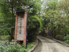 -旗岭森林公园