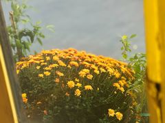 -北平花园·潮玩萌牙·北平咖啡(南锣鼓巷胡同店)