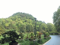 -贵州省植物园