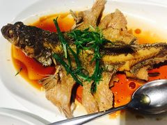 油浸飞鲈-至潮餐厅精致粤菜·活鲈鱼·走地鸡(珠江新城店)