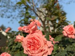 -人民公园(罗湖区)